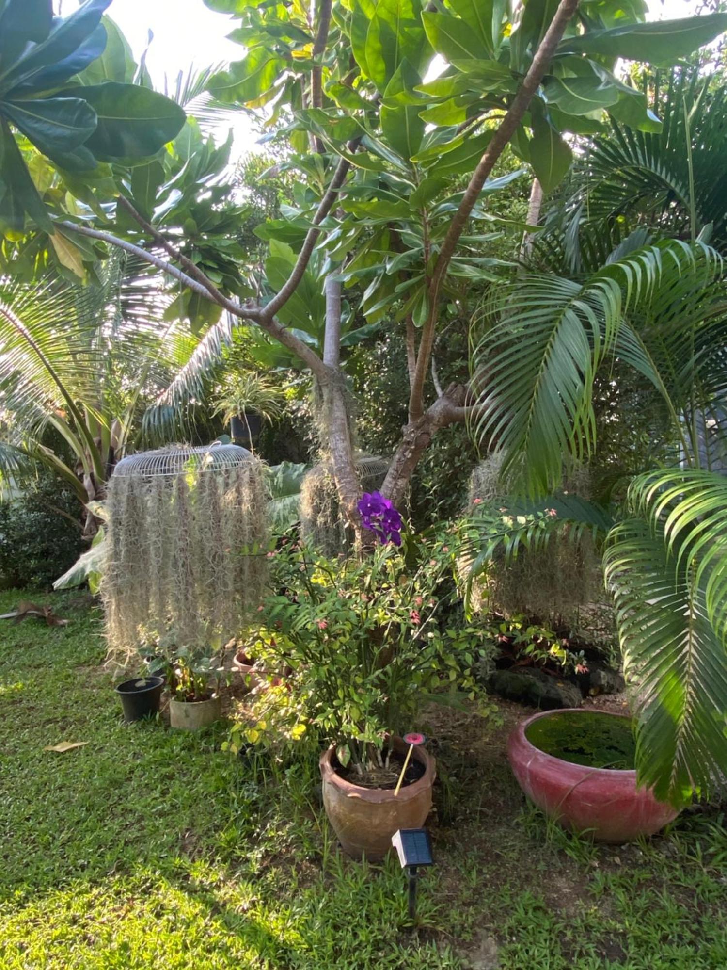 Phangan Hometown Resort - Adults Only Baan Tai Exterior photo