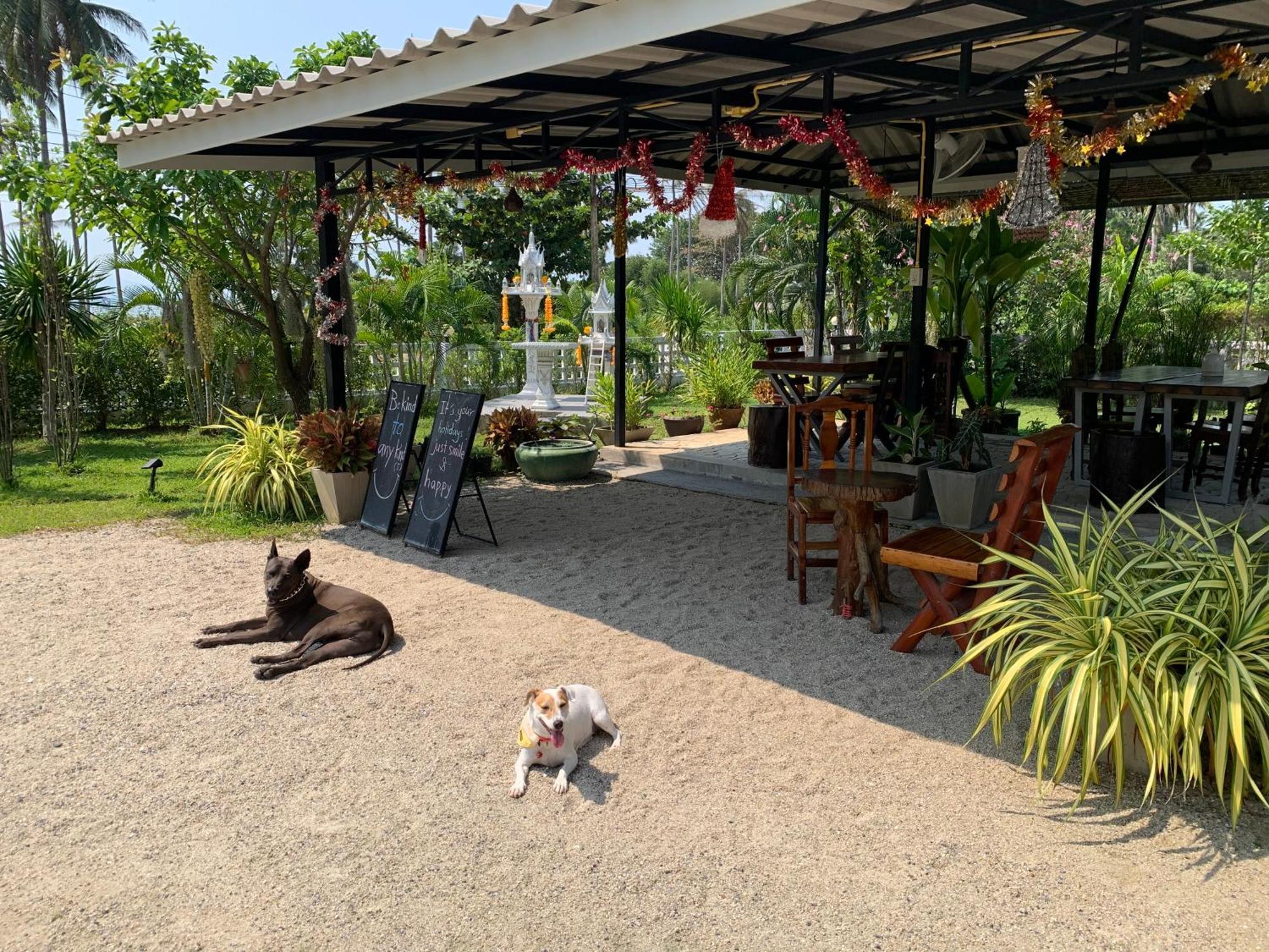 Phangan Hometown Resort - Adults Only Baan Tai Exterior photo